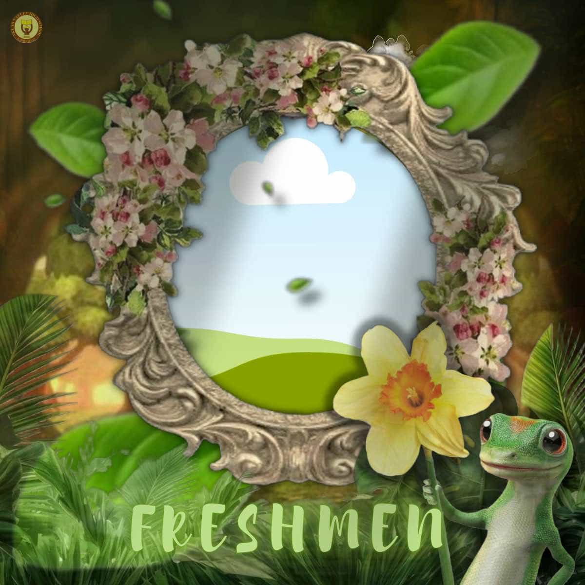 FRESHMEN