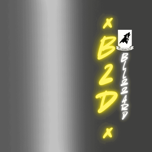 bzdblizzards