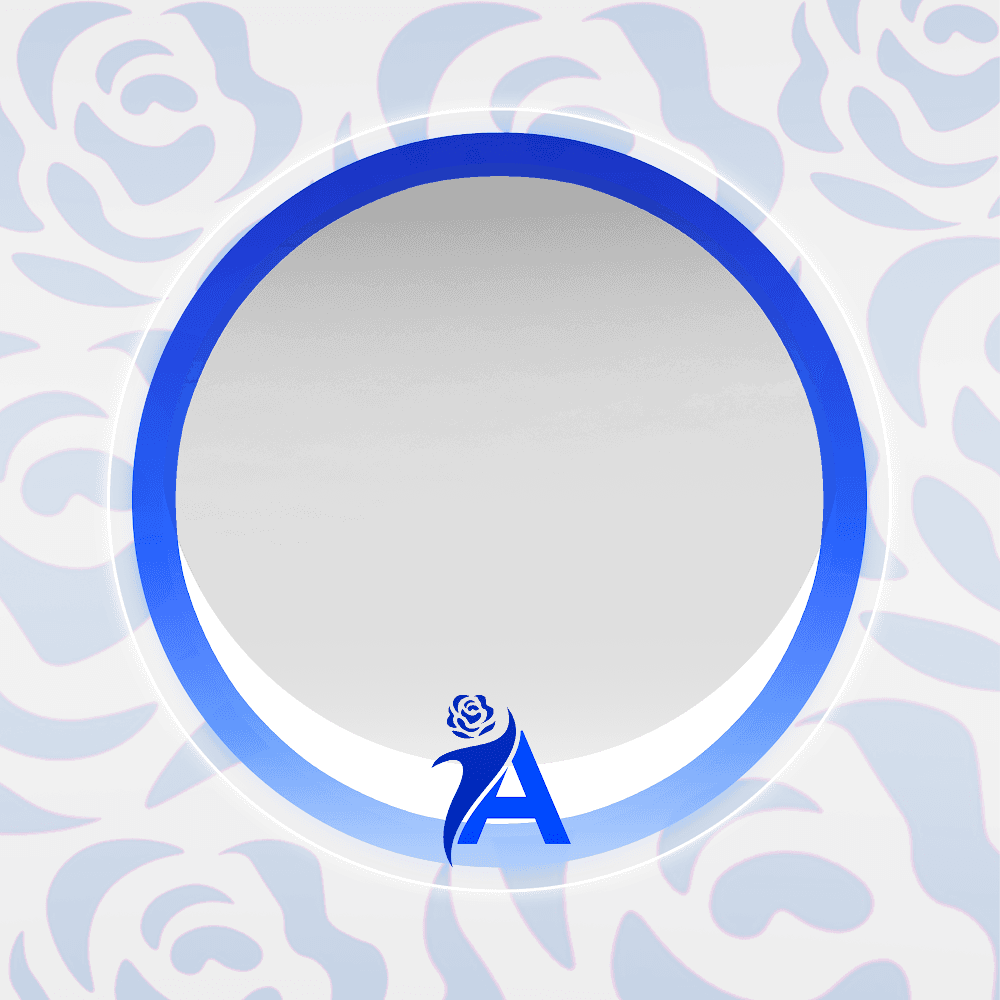 ALYANSA DP FRAME